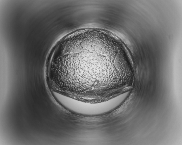 X0000094780998200711301542