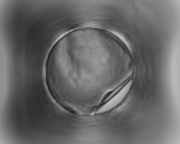 X0000094780999200711301542