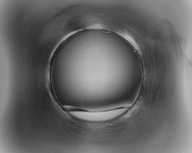X0000094781000200711301542
