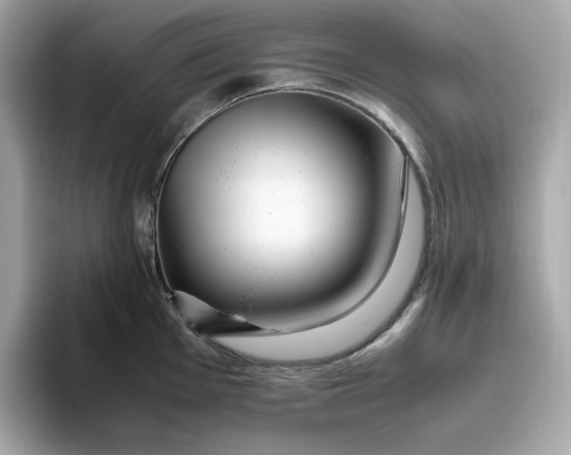 X0000094781001200711301542