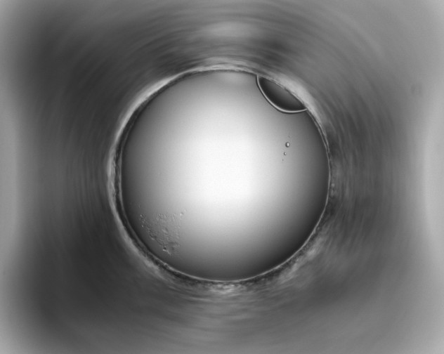 X0000094781003200711301542