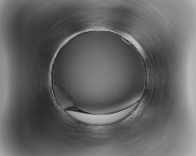 X0000094781004200711301542