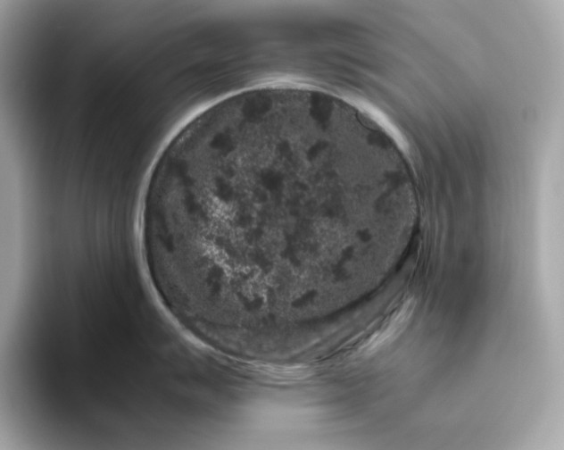 X0000094781007200711301542