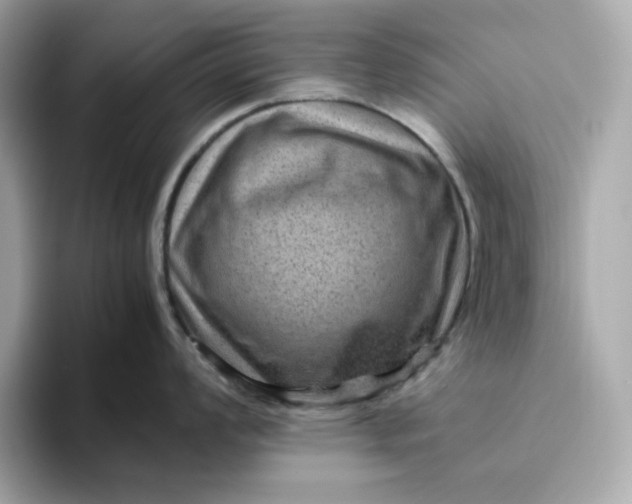 X0000094781008200711301542