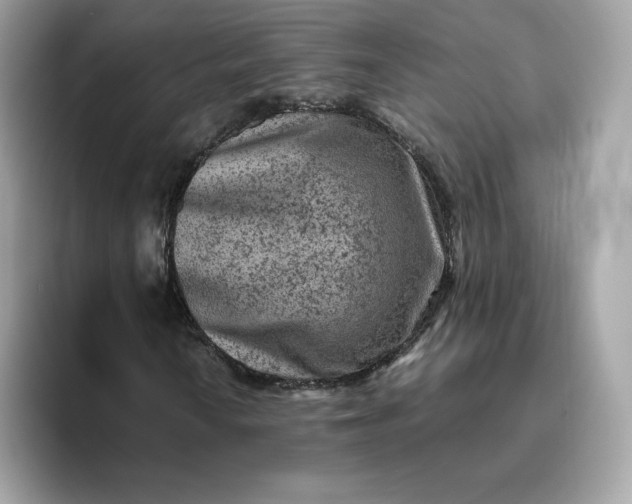X0000094781010200711301542