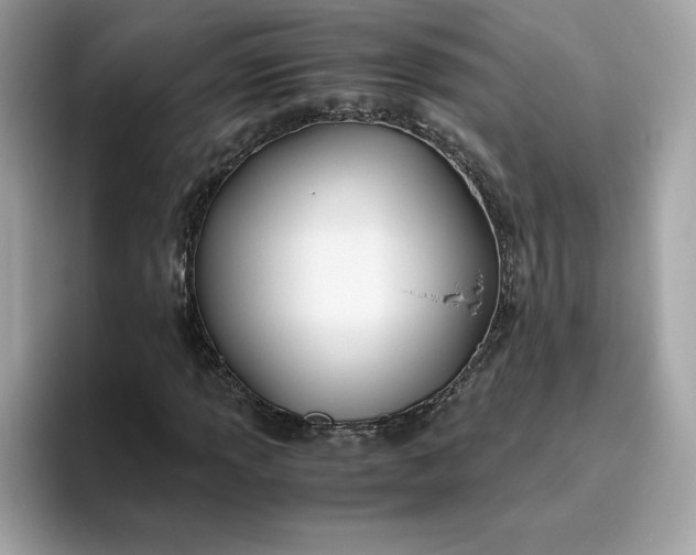 X0000094781013200711301542
