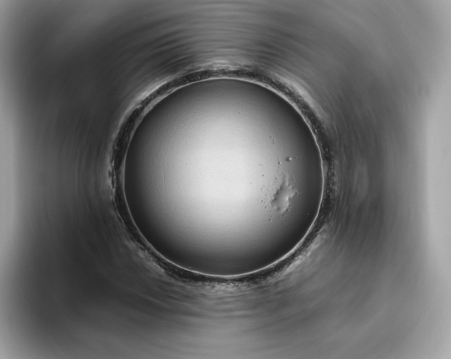 X0000094781018200711301542