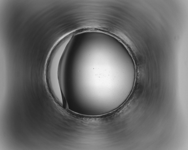 X0000094781020200711301542