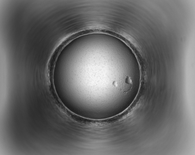 X0000094781022200711301542