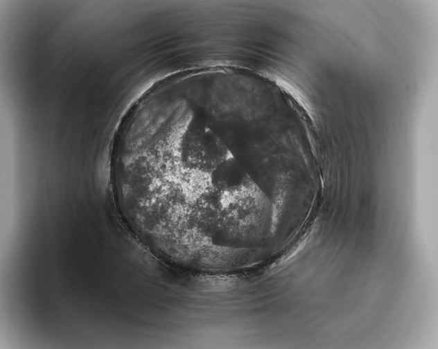 X0000094781023200711301542