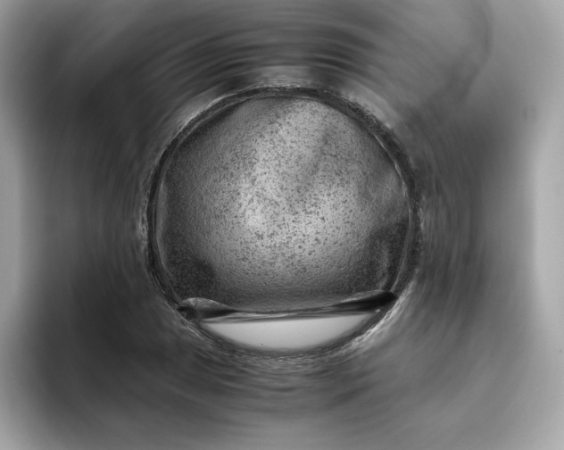 X0000094781025200711301542