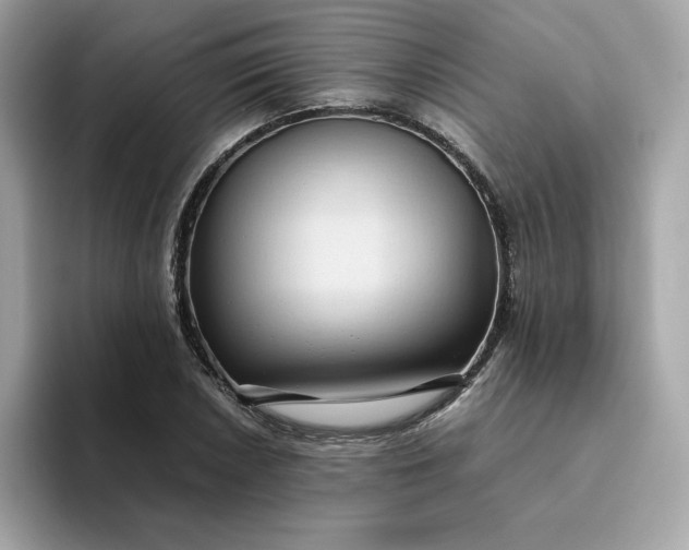 X0000094781026200711301542