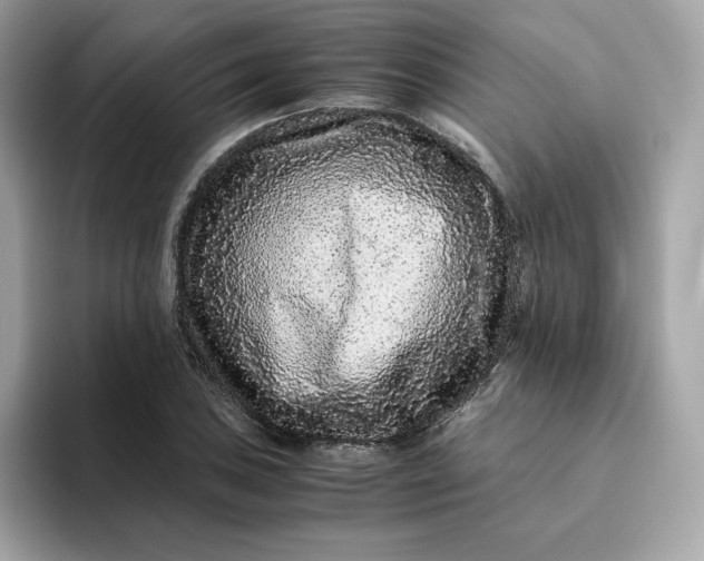 X0000094781027200711301542