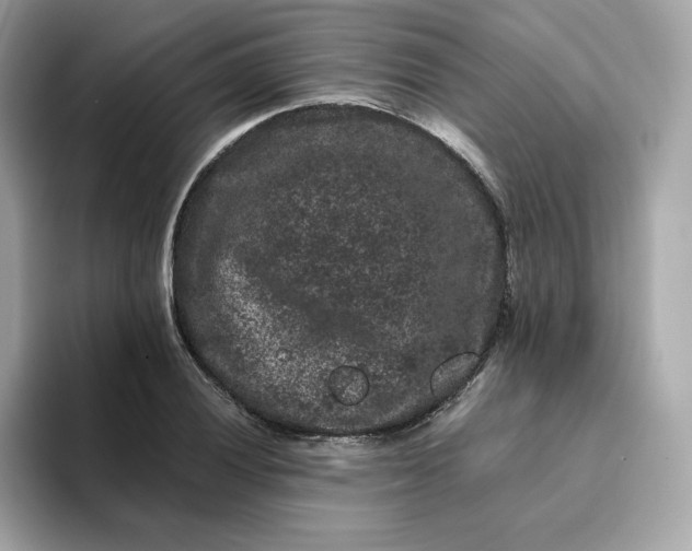 X0000094781028200711301542