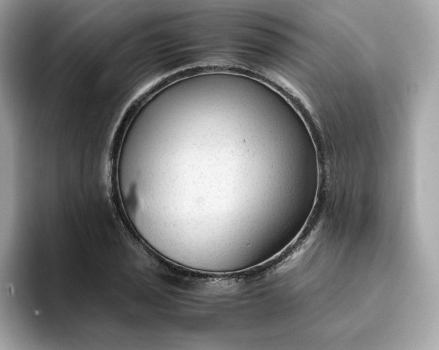 X0000094781029200711301542