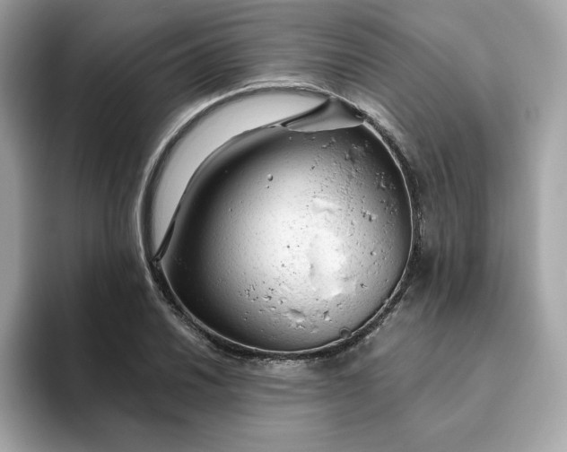 X0000094781030200711301542
