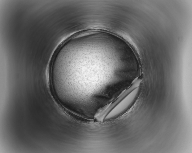 X0000094781032200711301542