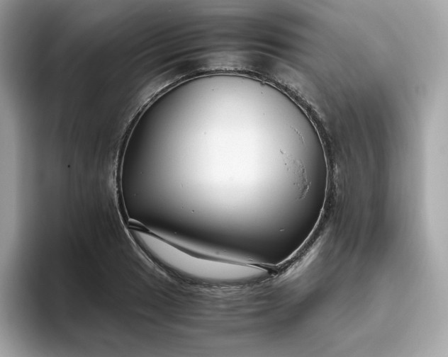 X0000094781033200711301542