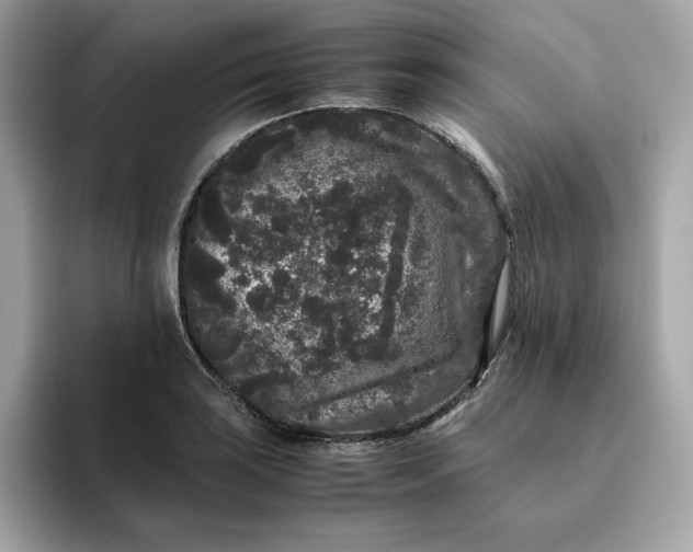 X0000094781035200711301542