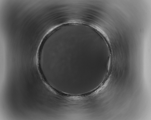 X0000094781037200711301542