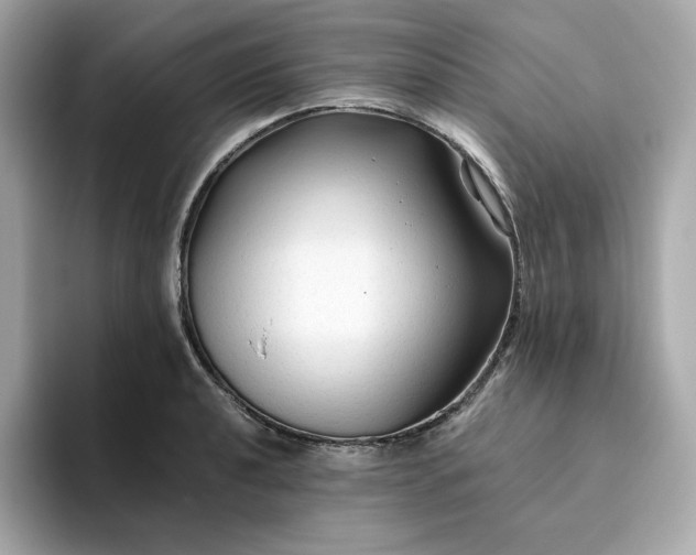 X0000094781040200711301542