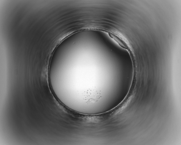 X0000094781041200711301542