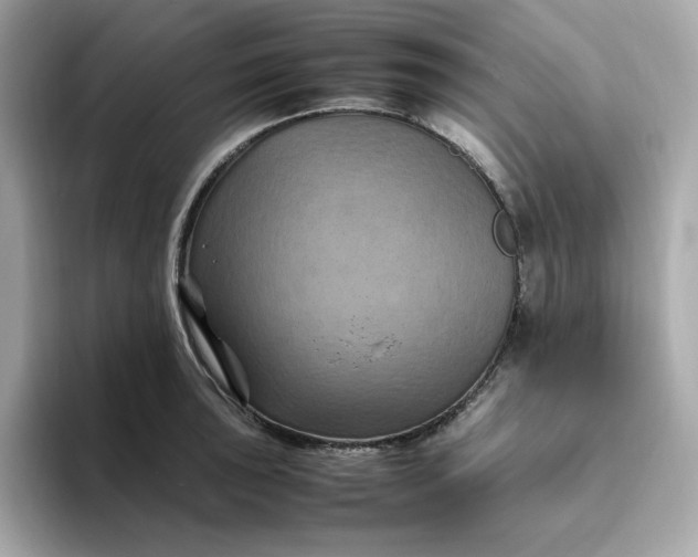 X0000094781043200711301542