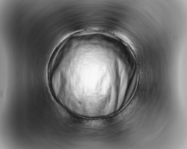 X0000094781047200711301542