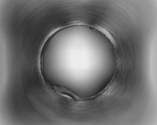 X0000094781051200711301542
