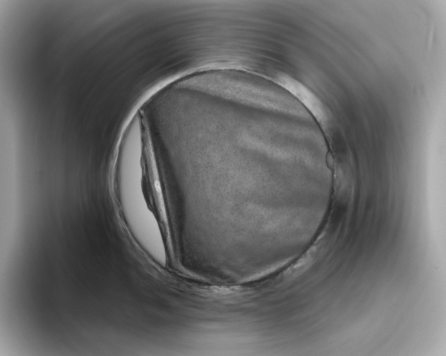 X0000094781052200711301542