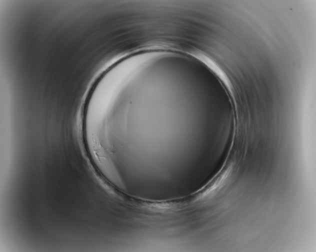 X0000094781053200711301542