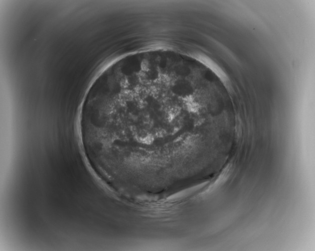 X0000094781055200711301542