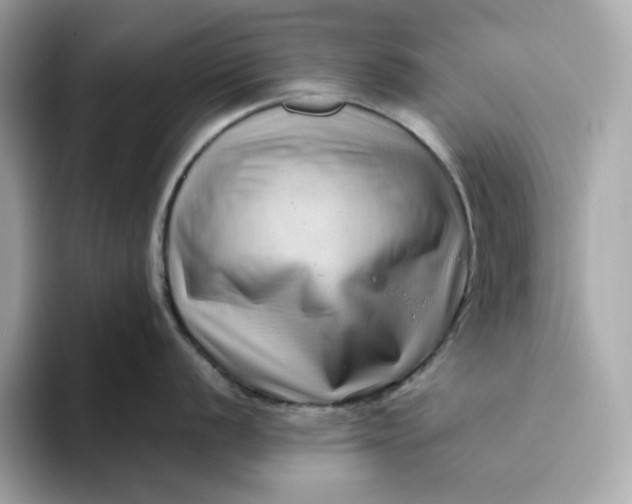 X0000094781056200711301542