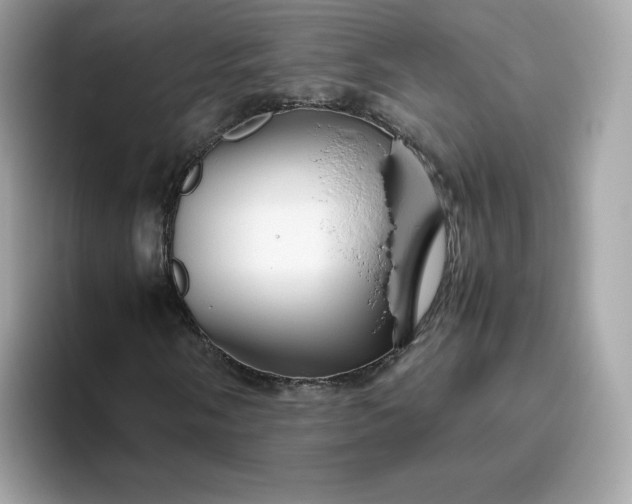 X0000094781058200711301542