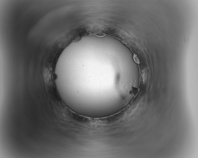 X0000094781059200711301542