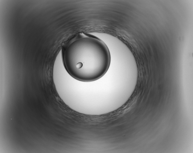 X0000094781060200711301542
