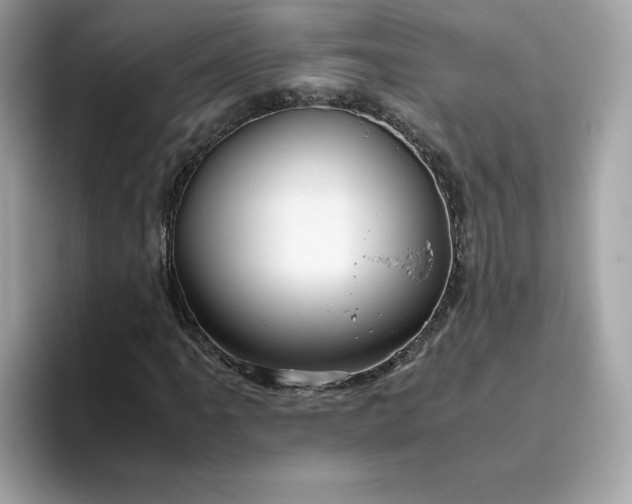 X0000094781061200711301541