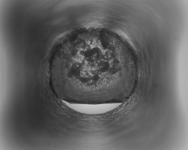 X0000094781063200711301541