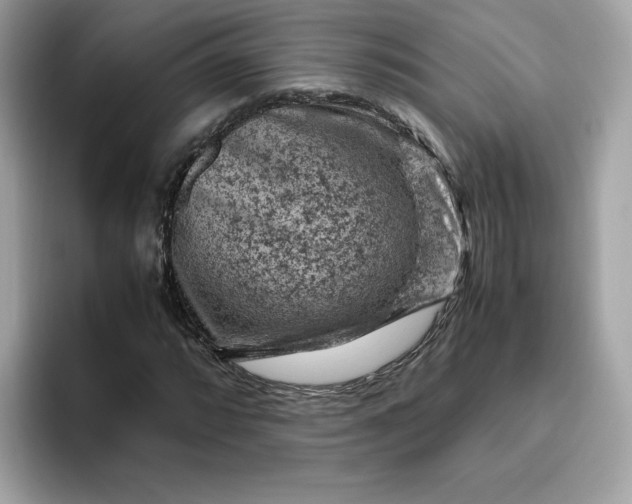 X0000094781064200711301541