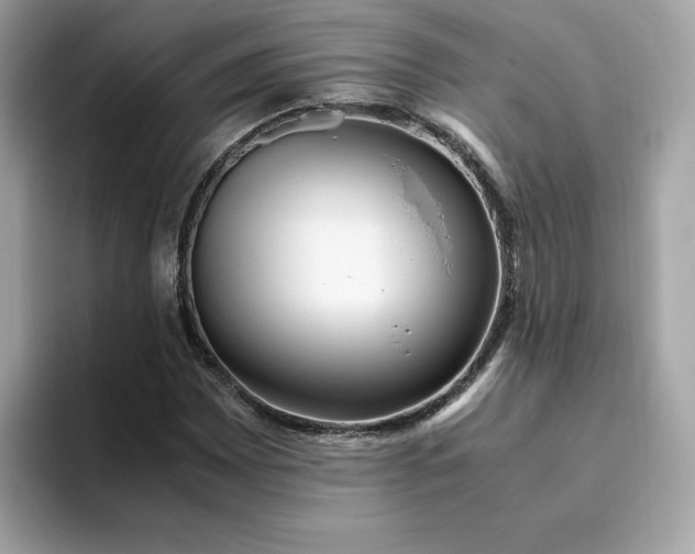 X0000094781065200711301541