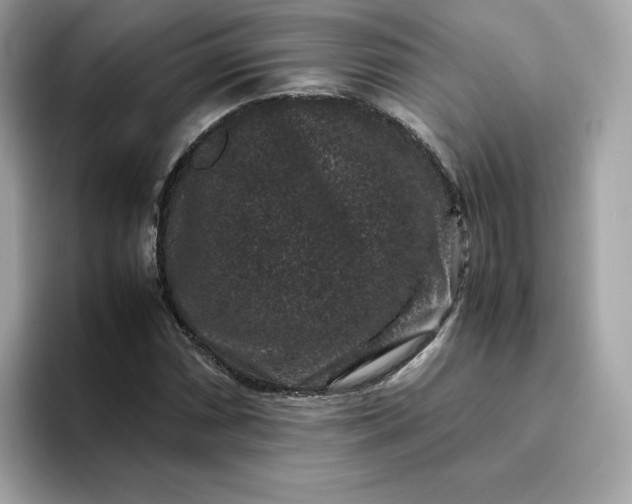 X0000094781066200711301541