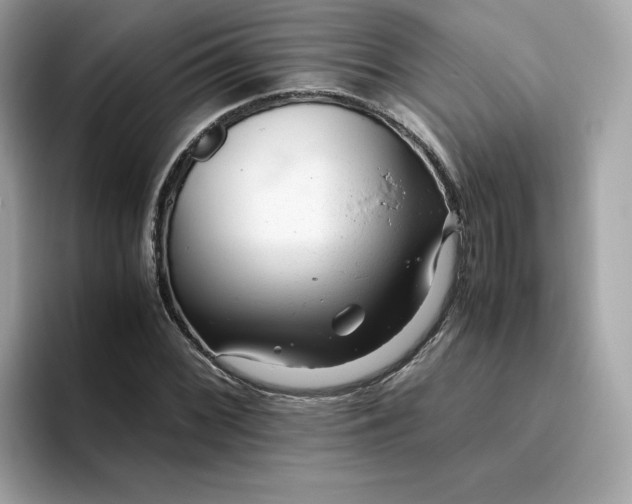X0000094781068200711301541