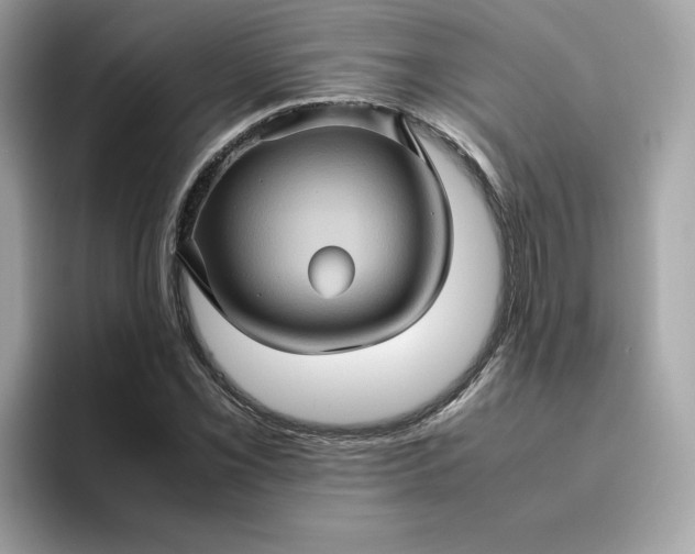 X0000094781069200711301541