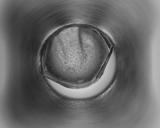 X0000094781070200711301541