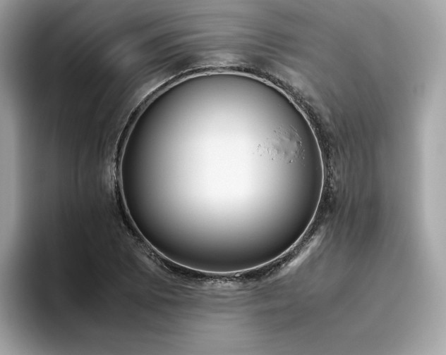 X0000094781073200711301541