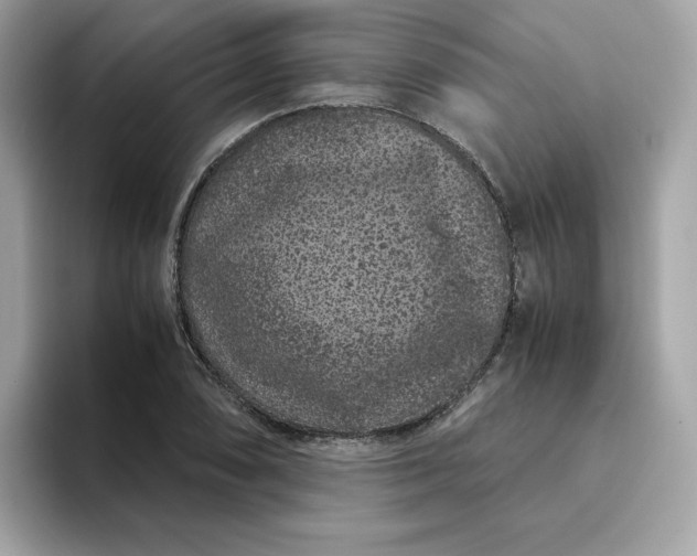 X0000094781074200711301541