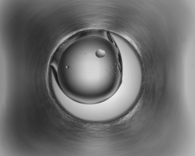 X0000094781077200711301541