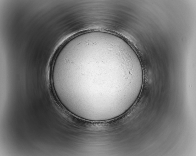 X0000094781078200711301541