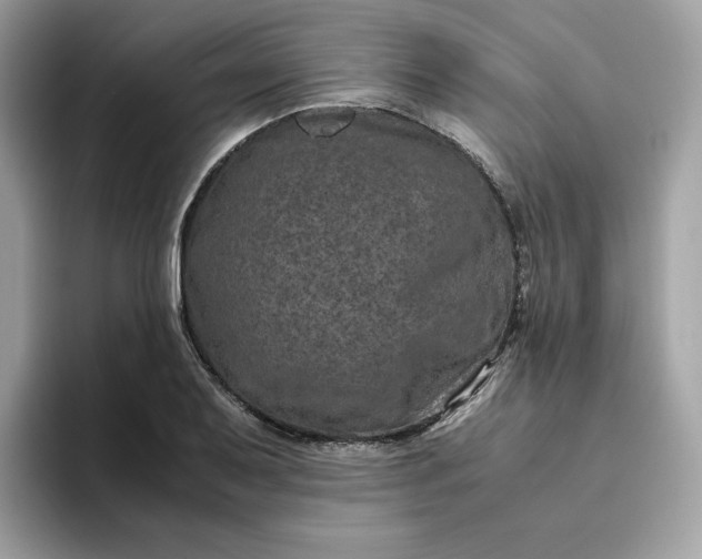X0000094781079200711301541