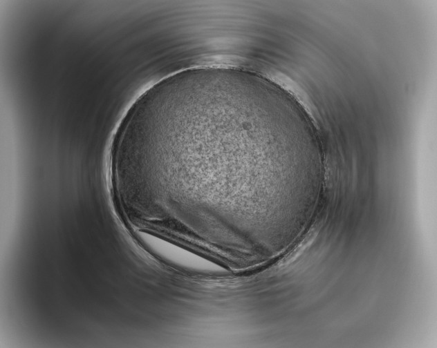 X0000094781083200711301541